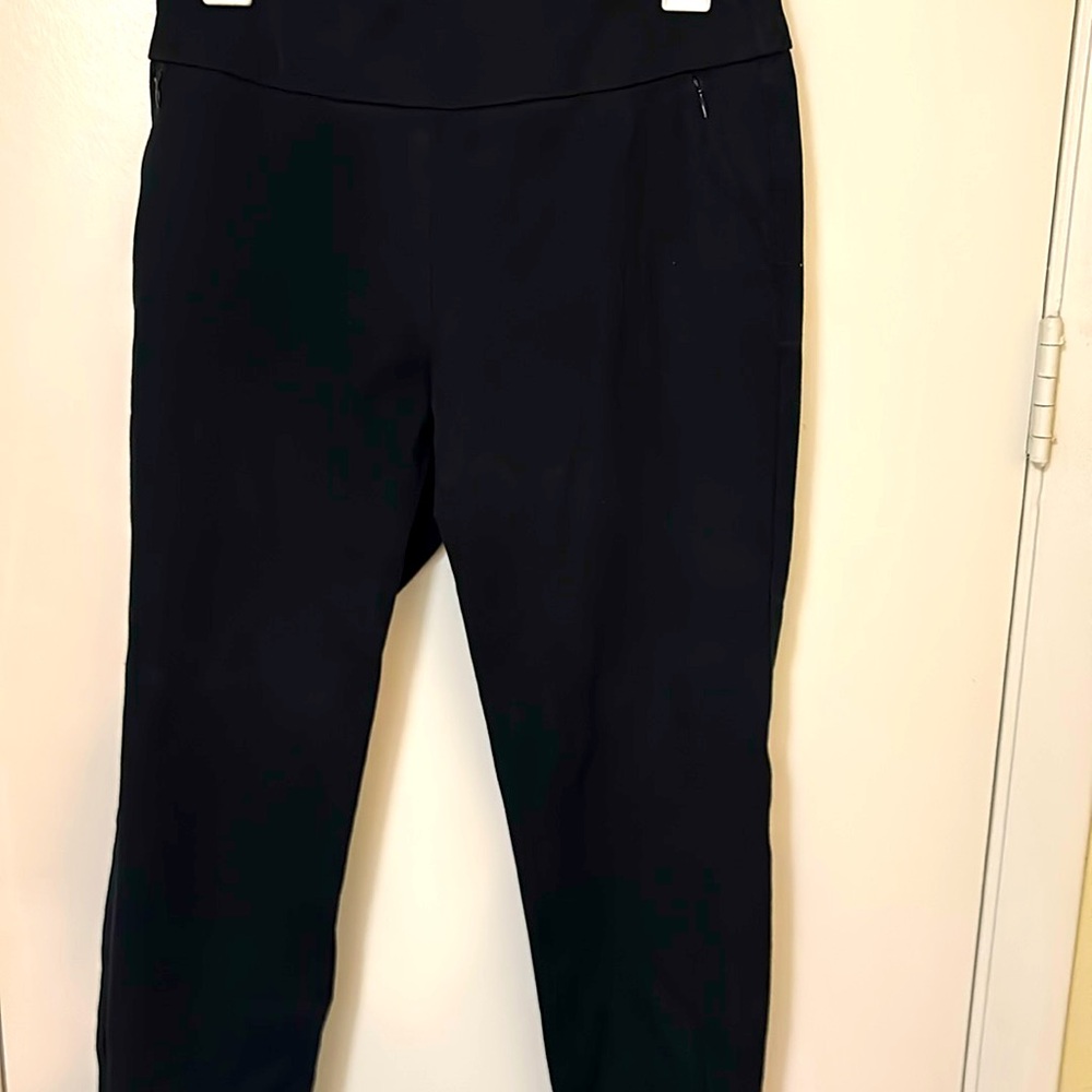 Simply sensation business pants
